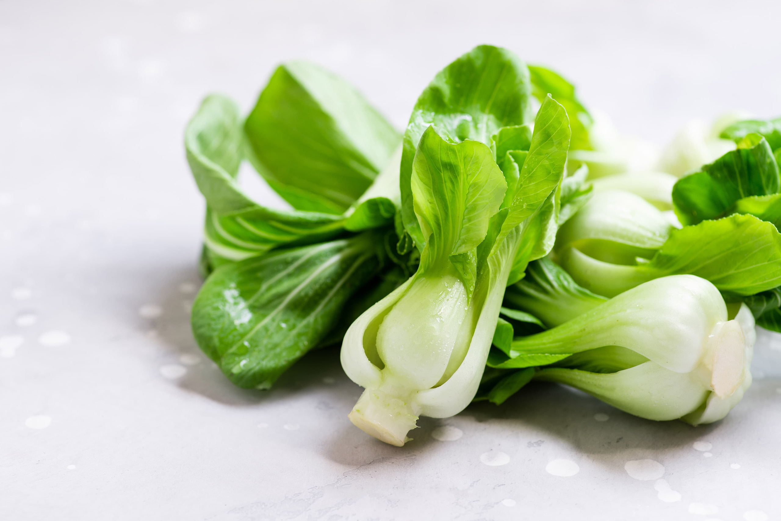 Services. Katia White editorial food photographer and food stylist, Dallas, TX