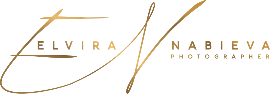 elviranabieva.com