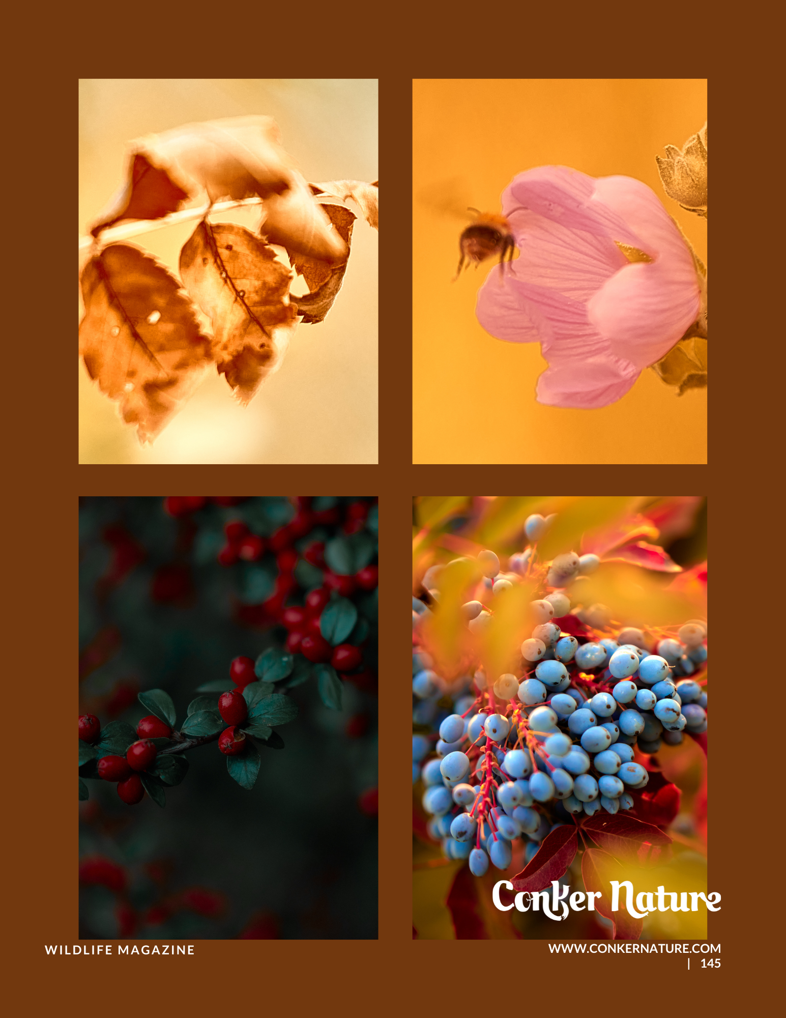 Осенние фотографии природы на страницах глянцевого журнала.