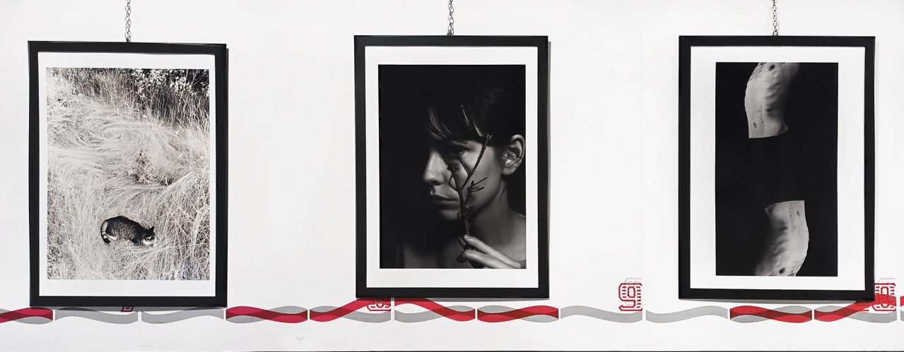 Installations. Visual artist