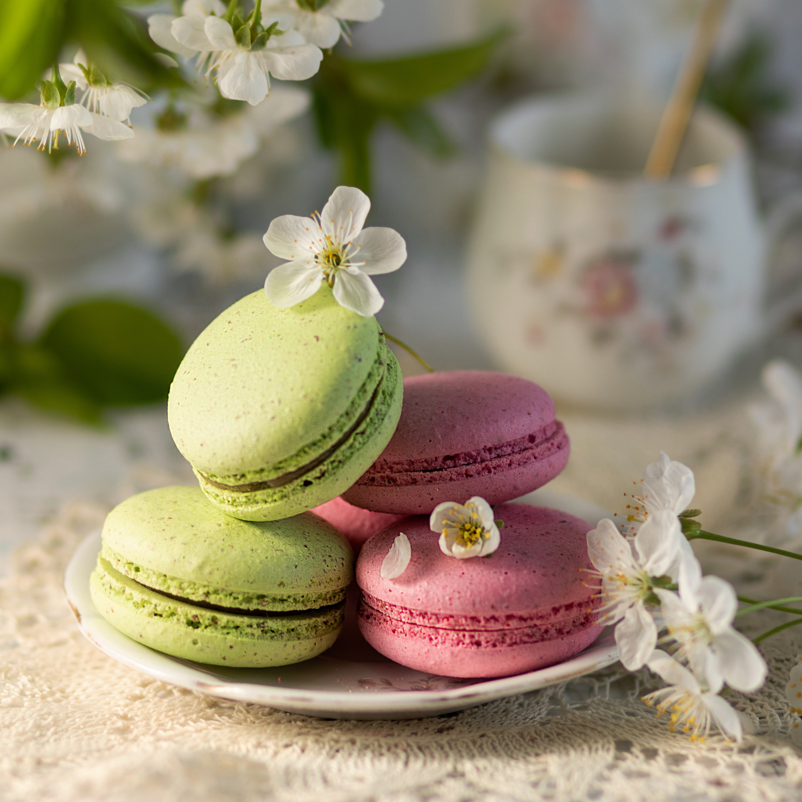 Цены. Семейный и рекламный фотограф в Ташкенте Мария Кудрявцева