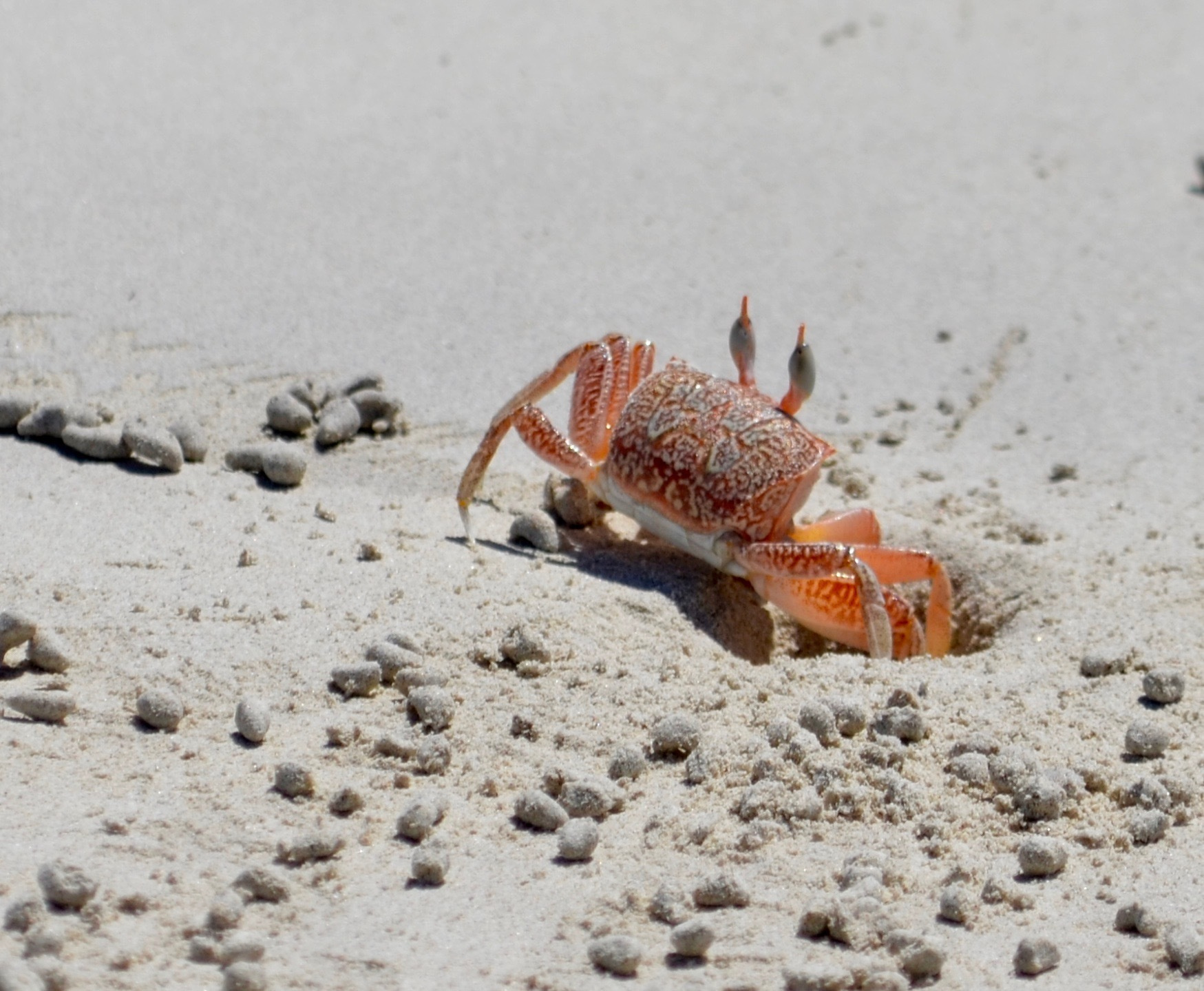Galapagos. Milok et Kirok sont des gens positifs et réels. Nous serons ravis de v