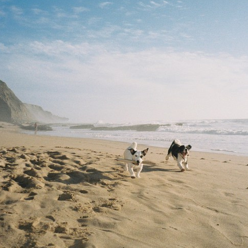 Services & Pricing — Book Your Session. Valery — Film and digital Photographer. Conceptual, Portrait & Brand Photography. Authentic, Identity Focused Storytelling. Lisbon, Portugal