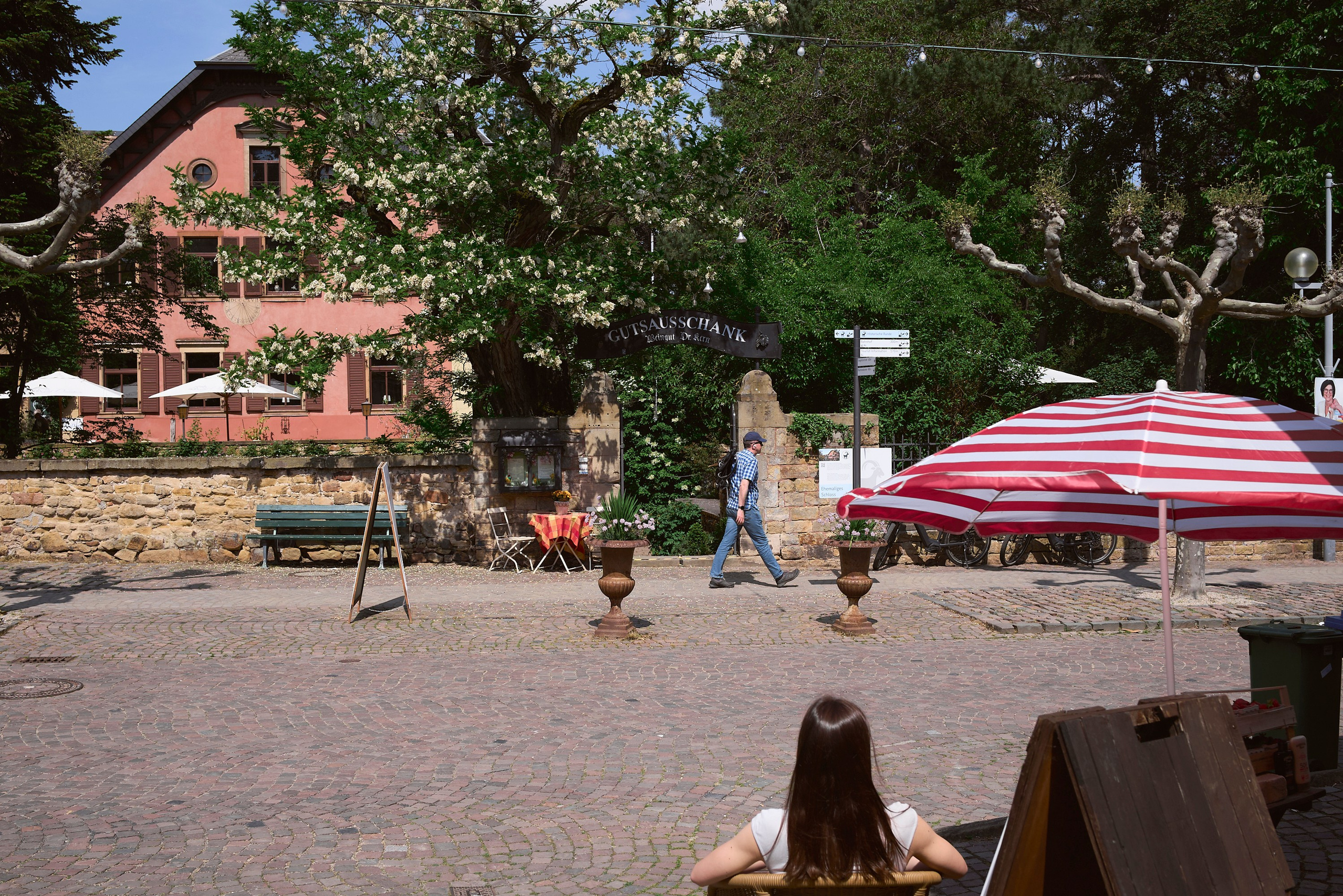 Deidesheim (neu). Aleksandr Steinbrenner | Streetfotografie