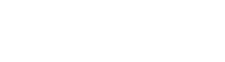 vailupauartist.com