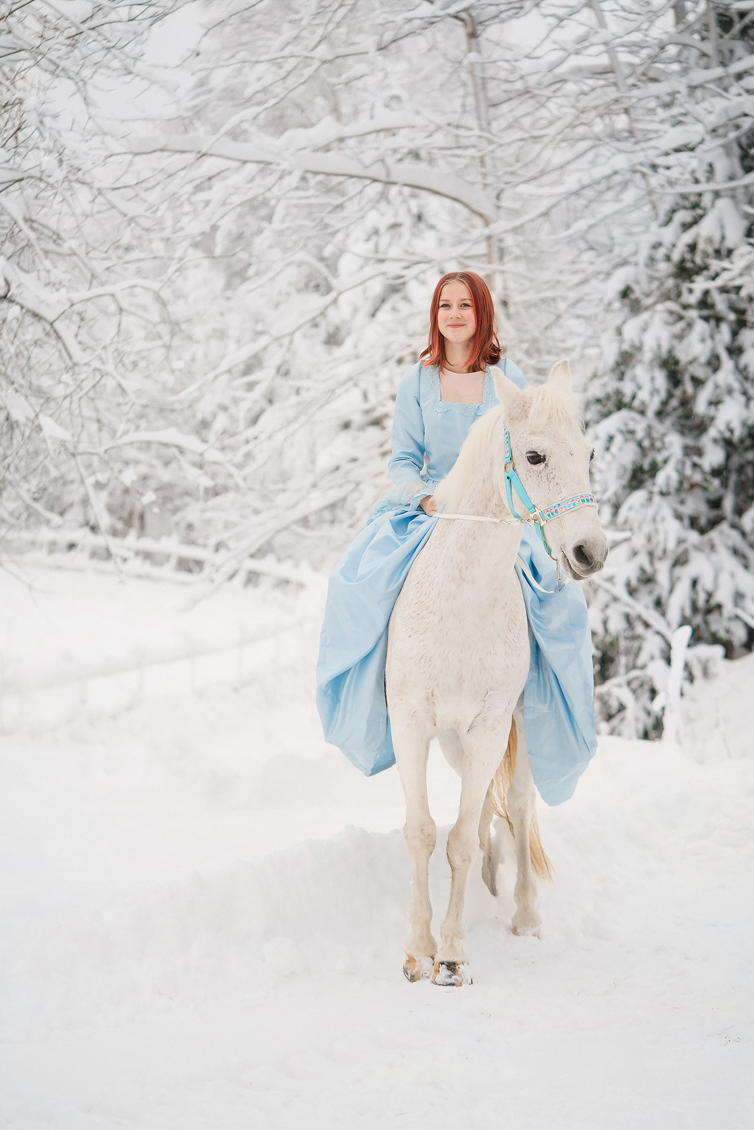 joulukorttikuvaukset