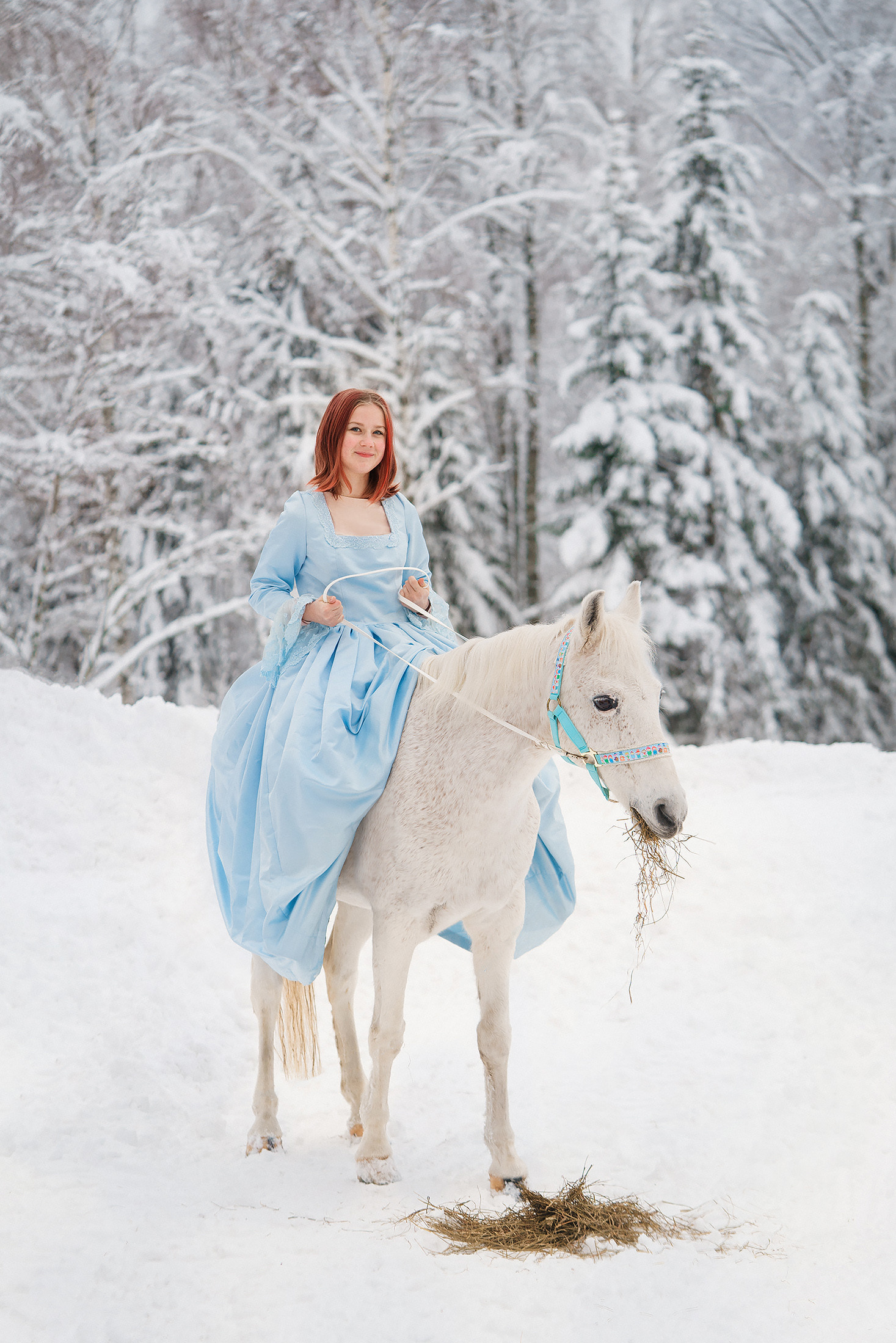 Joulukorttikuvat hepan kanssa