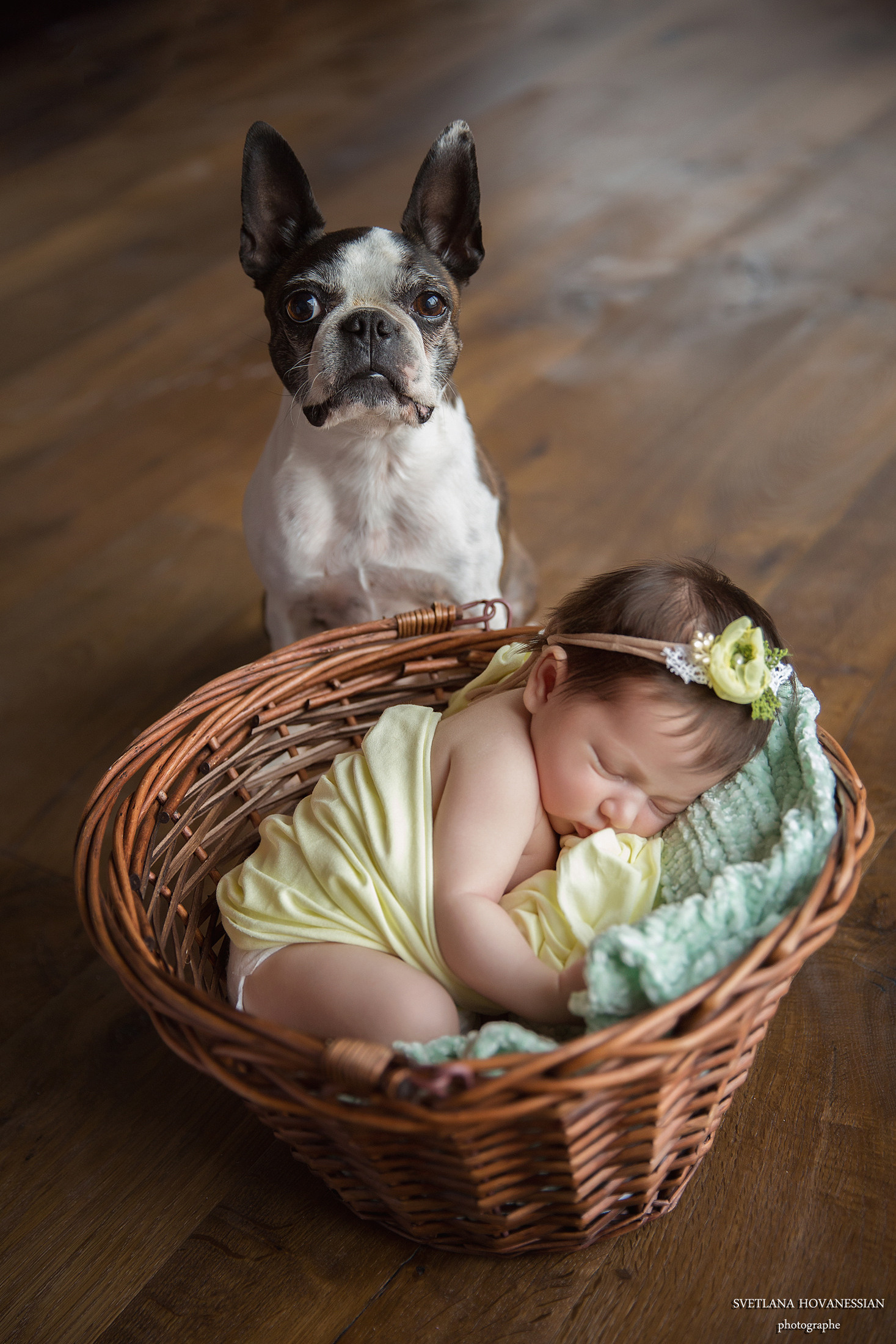 NOUVEAU-NE. Photographe professionelle spécialisée dans la photographie de grosses