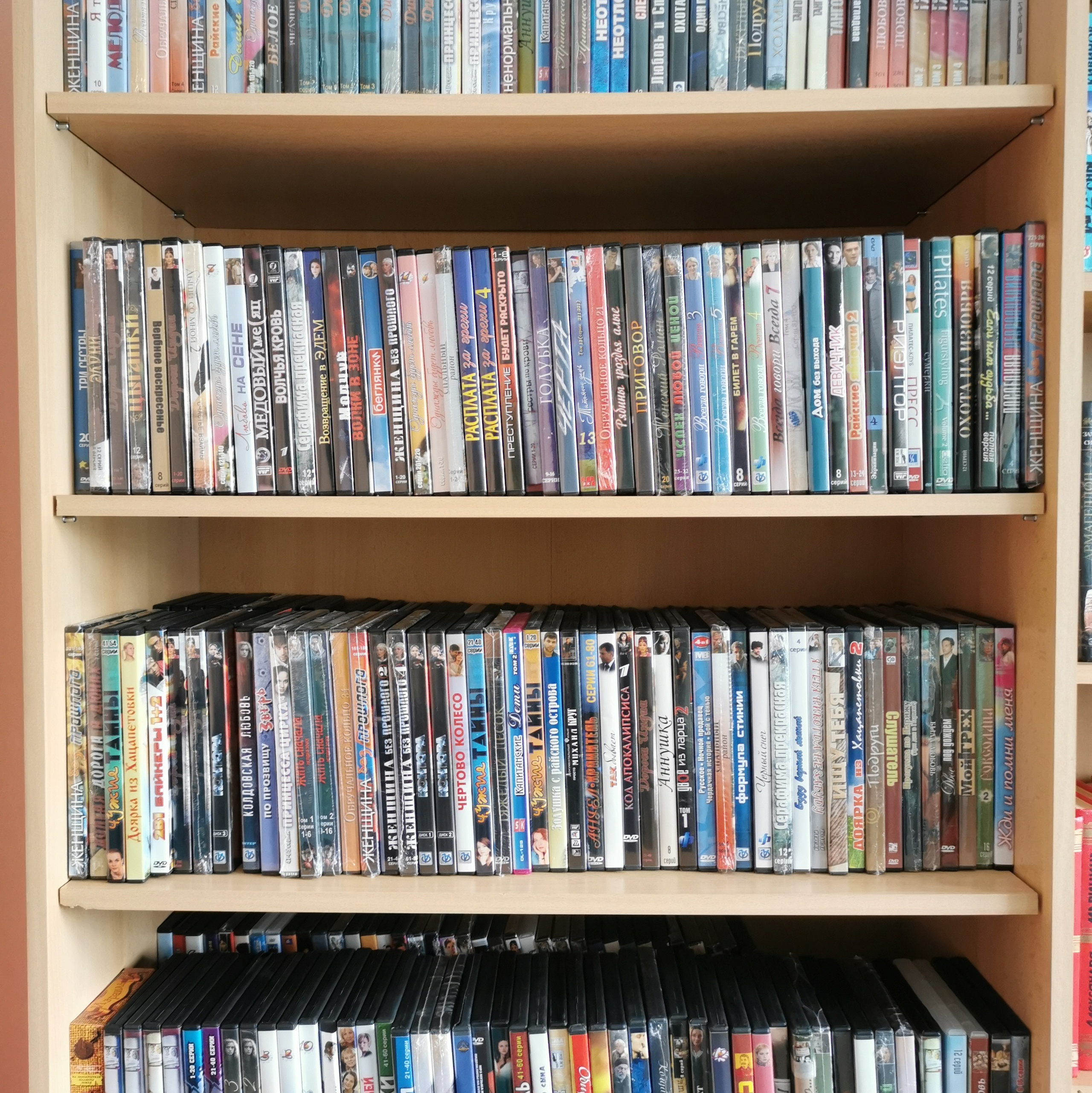 Бесплатно. Студия ЭЛИС