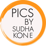picbysudhakone.com