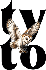 tyto.art