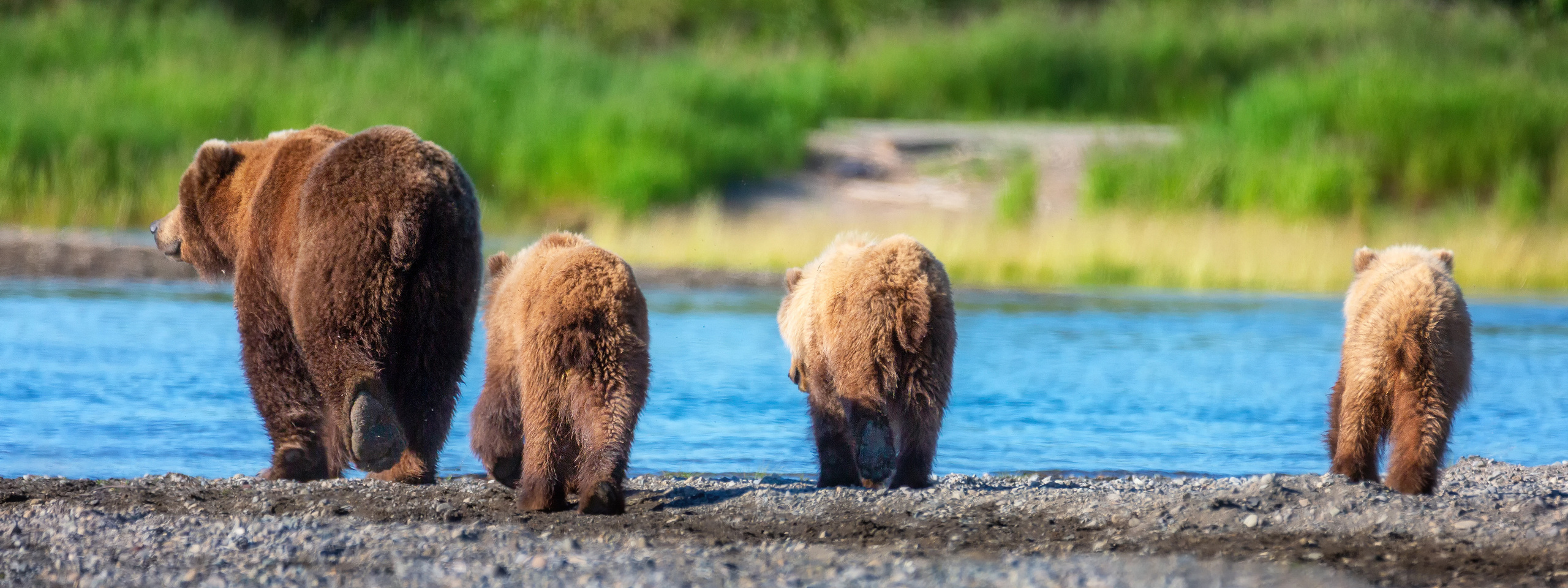 Best Of Alaska. Alex Mironyuk Photography