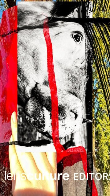 LensCulture 2023-2025 Editor’s Picks. Ekaterina Tsurkina-Appina Photography Canada