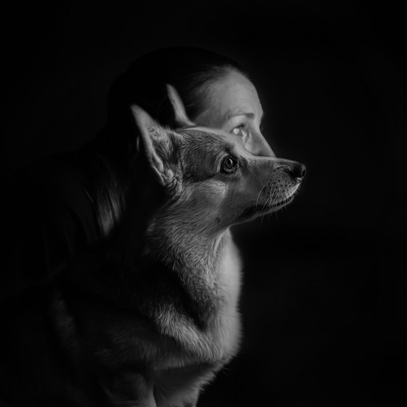 Портфоліо скрт. Репортажний фотограф/анімаліст КИЇВ