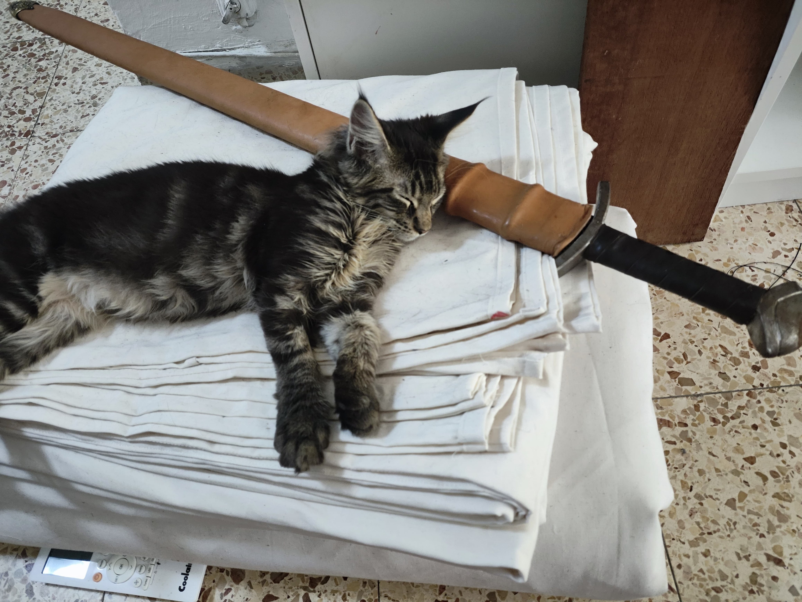 Шаровары из Хедебю — гайд по шитью исторических штанов | Нортман. КРиС «Нортман»