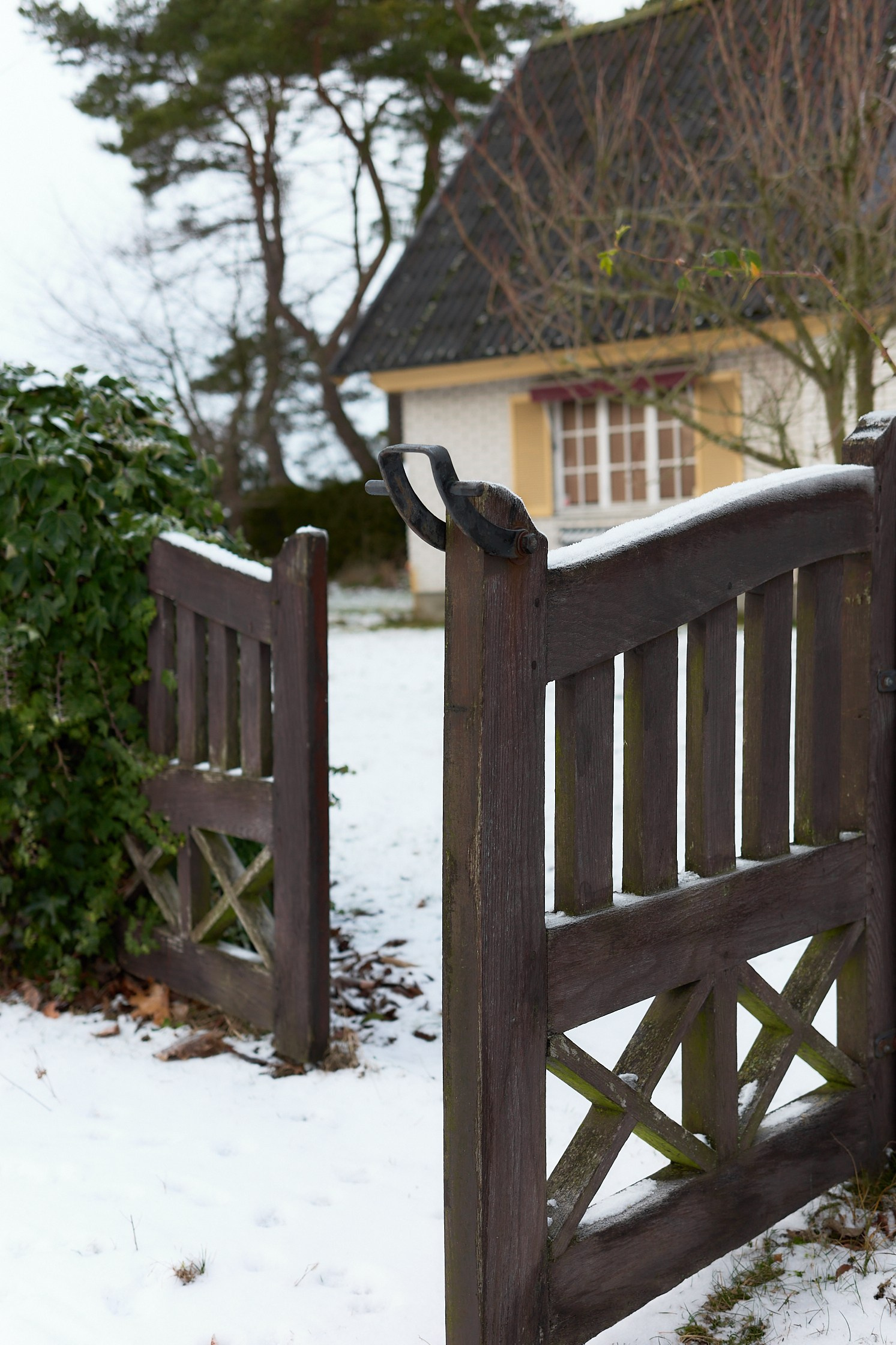 Winter photowalk in Åhus. Yury Popkov | Photographer