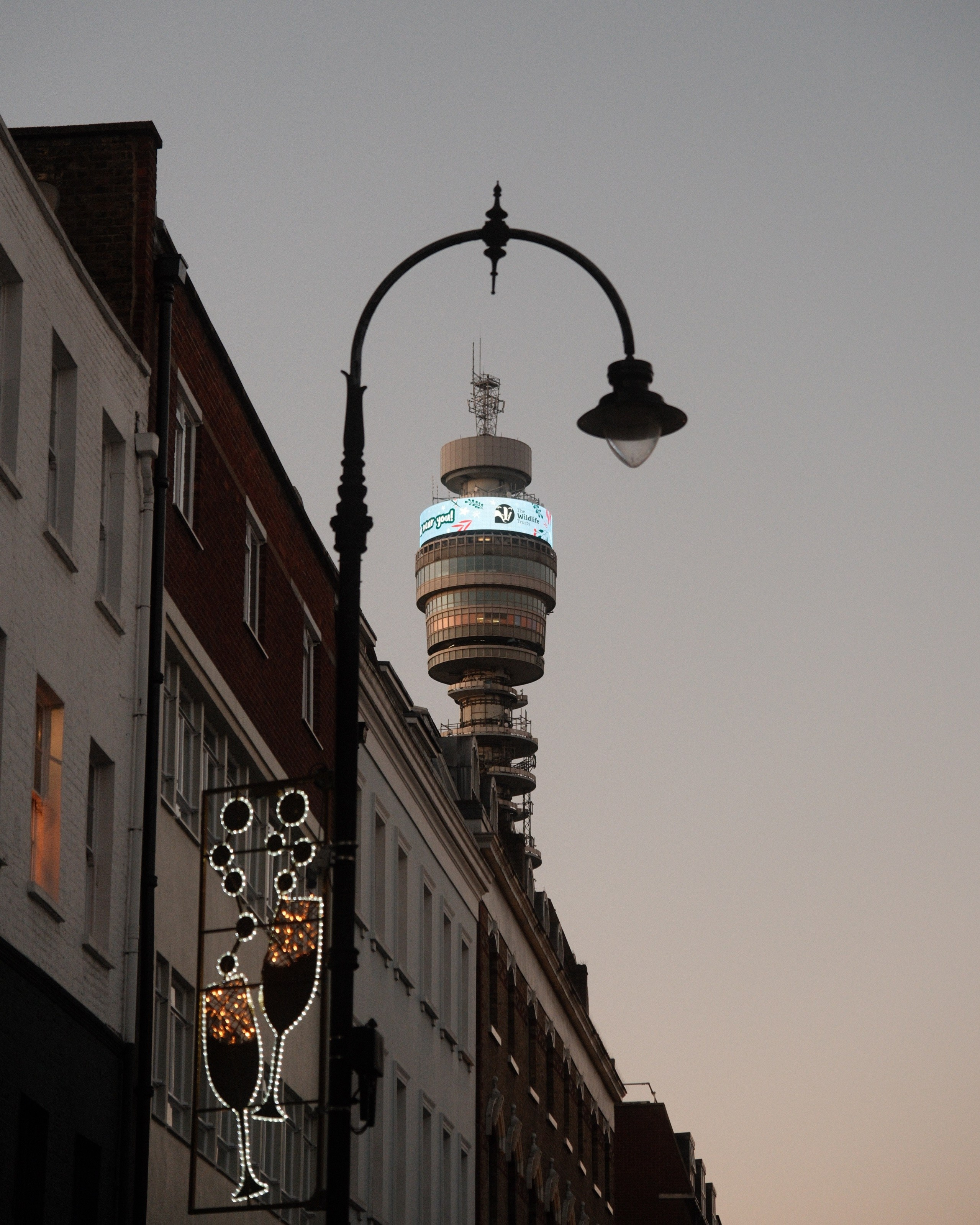 Reggie’s Portra. A Fujifilm Custom Recipe I Keep Coming Back To. Cal Takes Photos