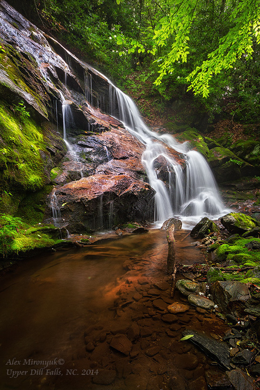 Fall at Great Smoky Mountains. Pet, Senior, Landscape, portrait studio, photographer in Miami and Sou