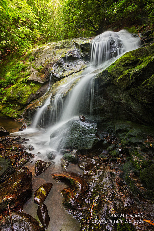 Fall at Great Smoky Mountains. Pet, Senior, Landscape, portrait studio, photographer in Miami and Sou