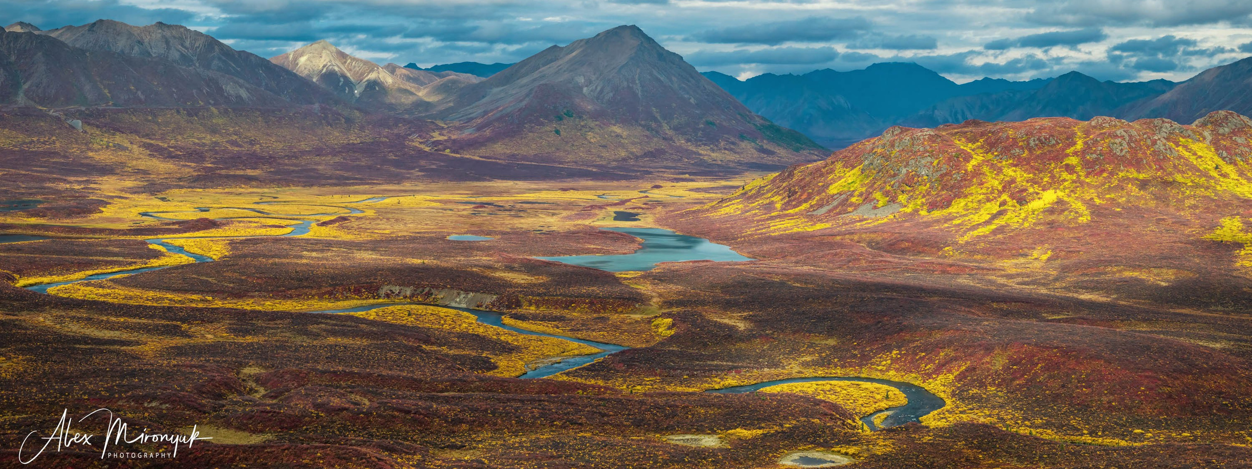 Alaskan Fall Colors. Pet, Senior, Landscape, portrait studio, photographer in Miami and Sou