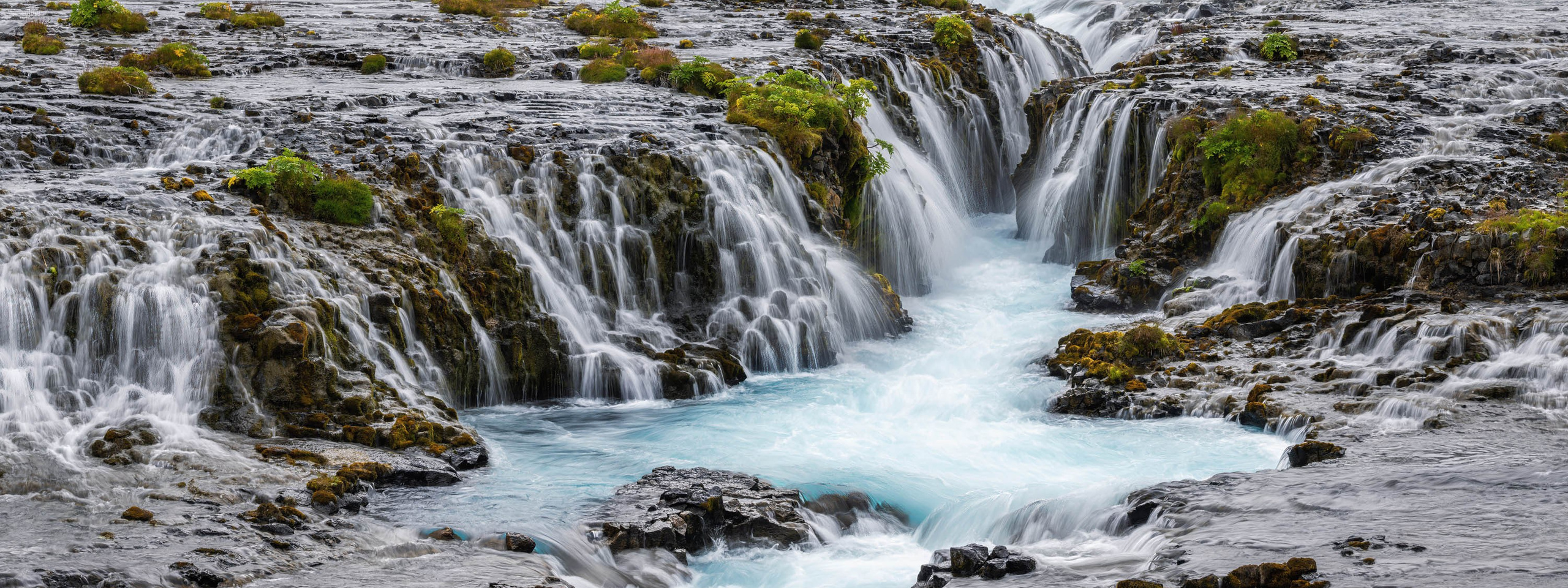 Winter in Iceland. Pet, Senior, Landscape, portrait studio, photographer in Miami and Sou