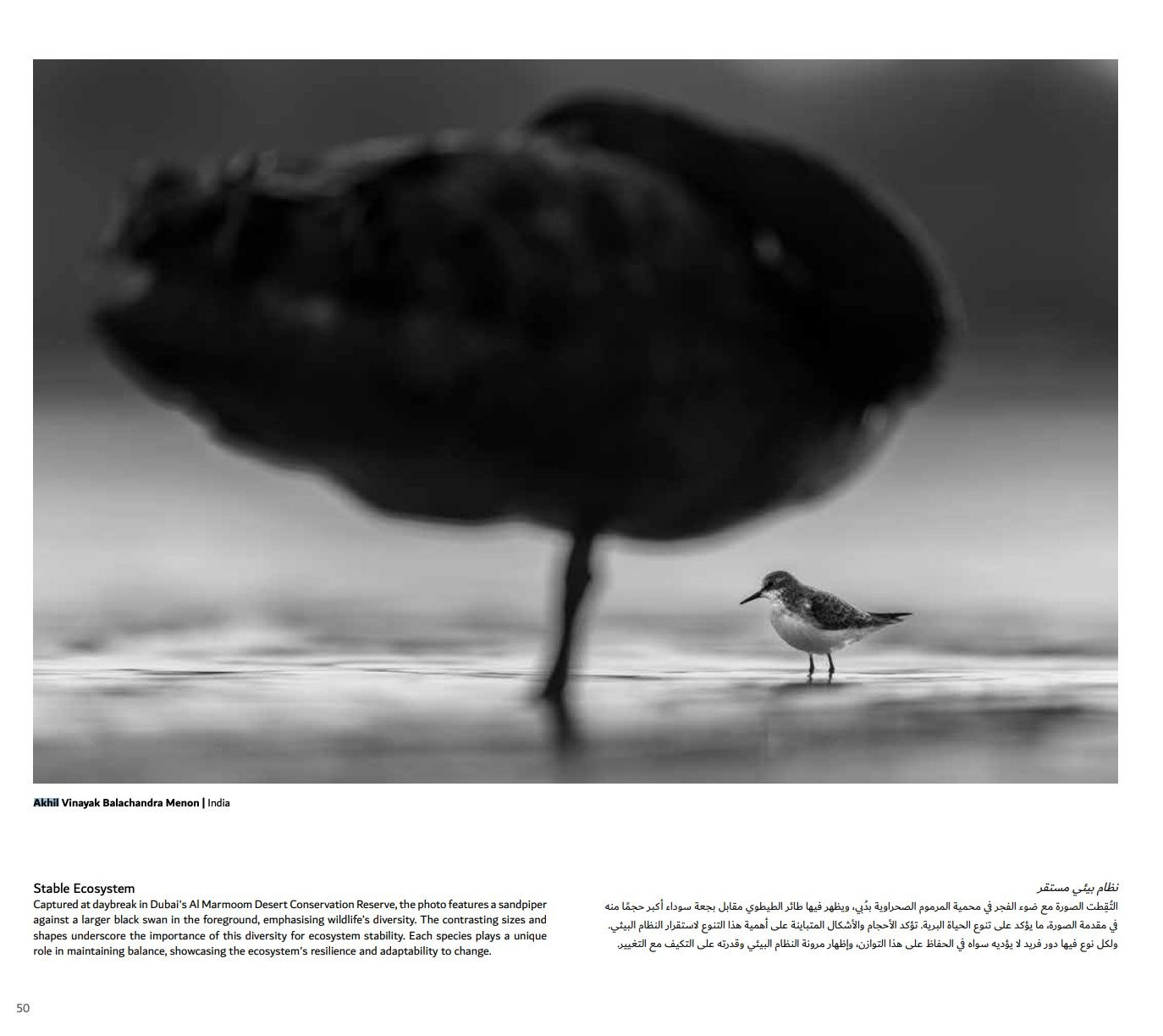 AWARDS AND RECOGNITIONS | AKHIL VINAYAK MENON PHOTOGRAPHY. Akhil Vinayak Menon Photography