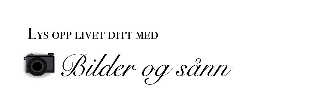 Fotograf Narvik. Din fotograf i Narvik kommune