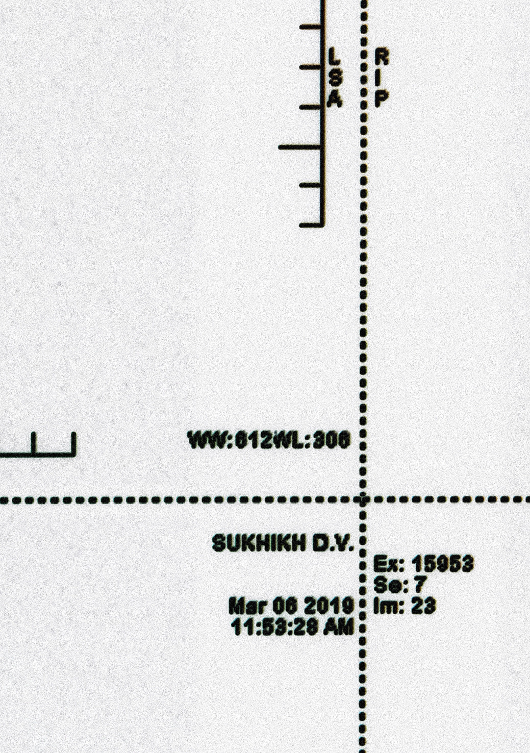 Introspection (2021). Daria Sukhikh | Photography