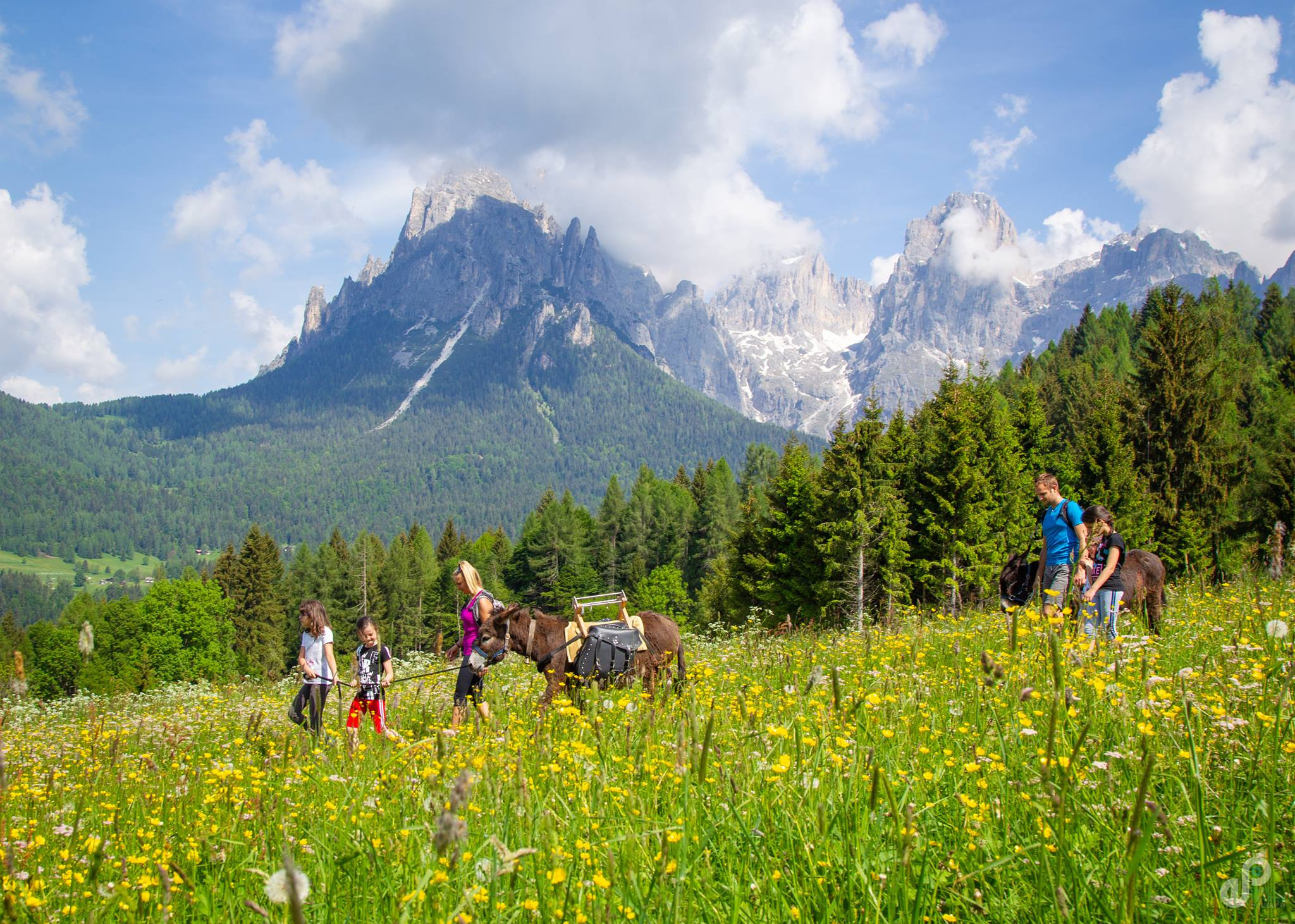 «Горные тропы» 2022 год. Семейные лагеря в Европе с Ниной Янечковой и Ириной Зиновьевой