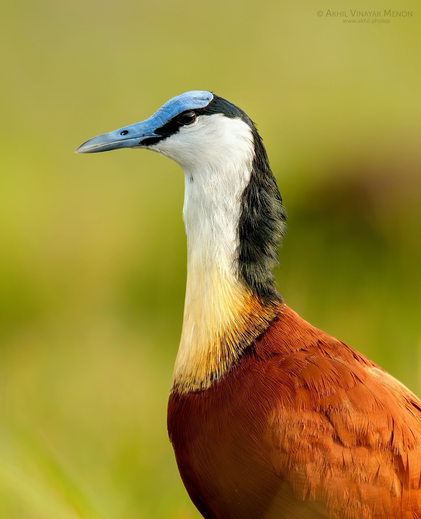 Trips. Akhil Vinayak Menon Photography