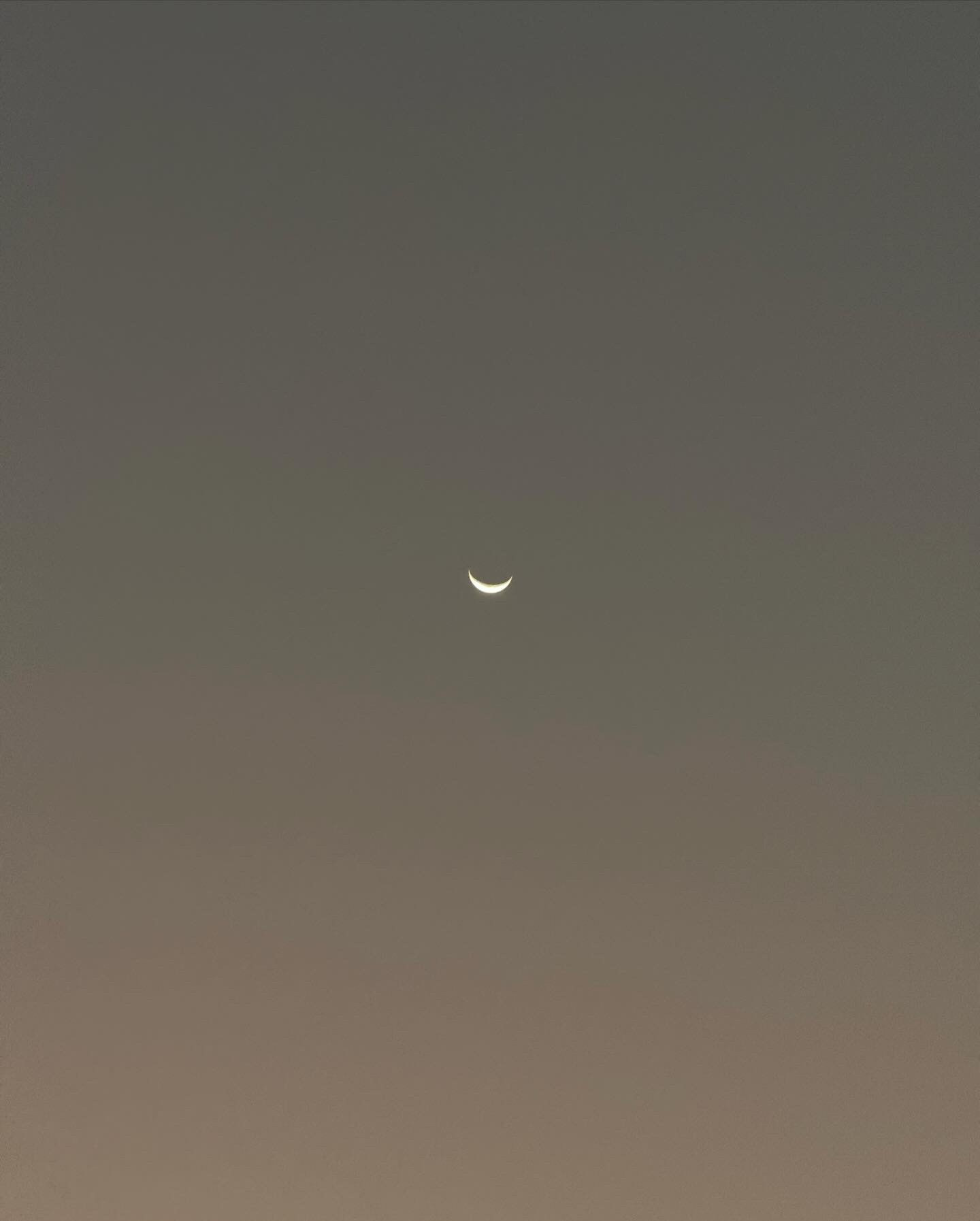 Фотограф/ индивидуальные съемки, бренды, lovestory