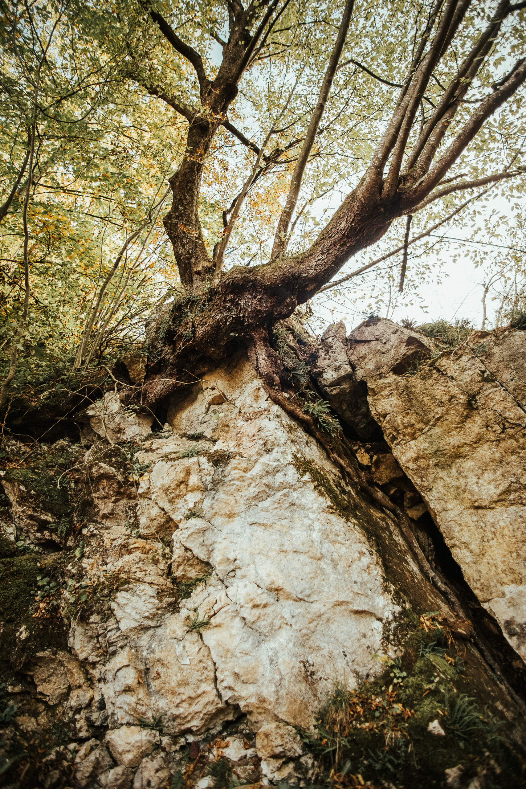 Searching for my Roots. Mark Smilyanic | Portrait and Adventure Photographer from Belgrade