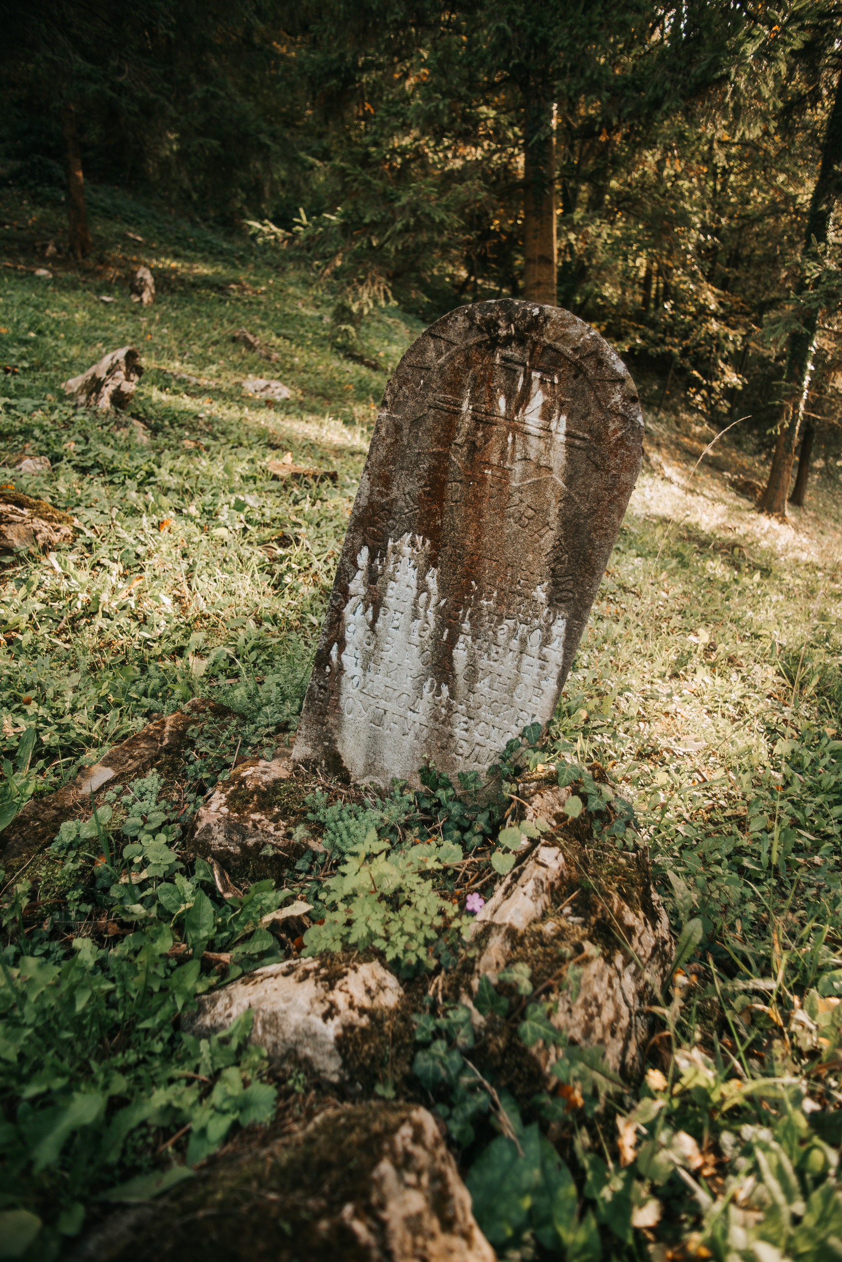 Searching for my Roots. Mark Smilyanic | Portrait and Adventure Photographer from Belgrade