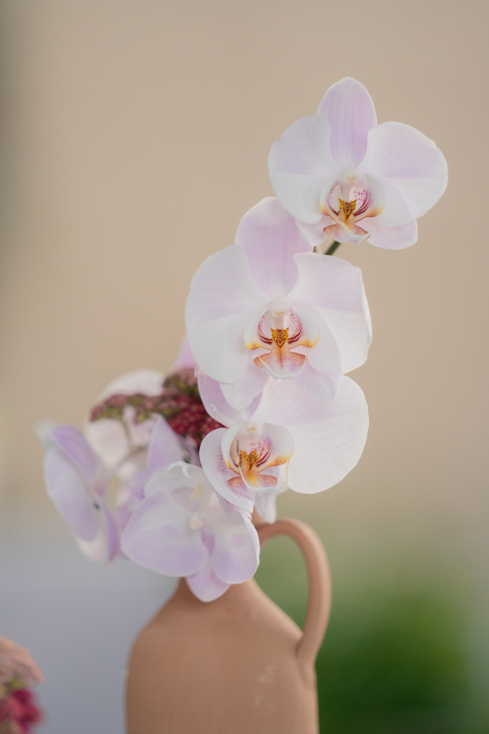 Divenire. W LAB 192 | Davide Vichi