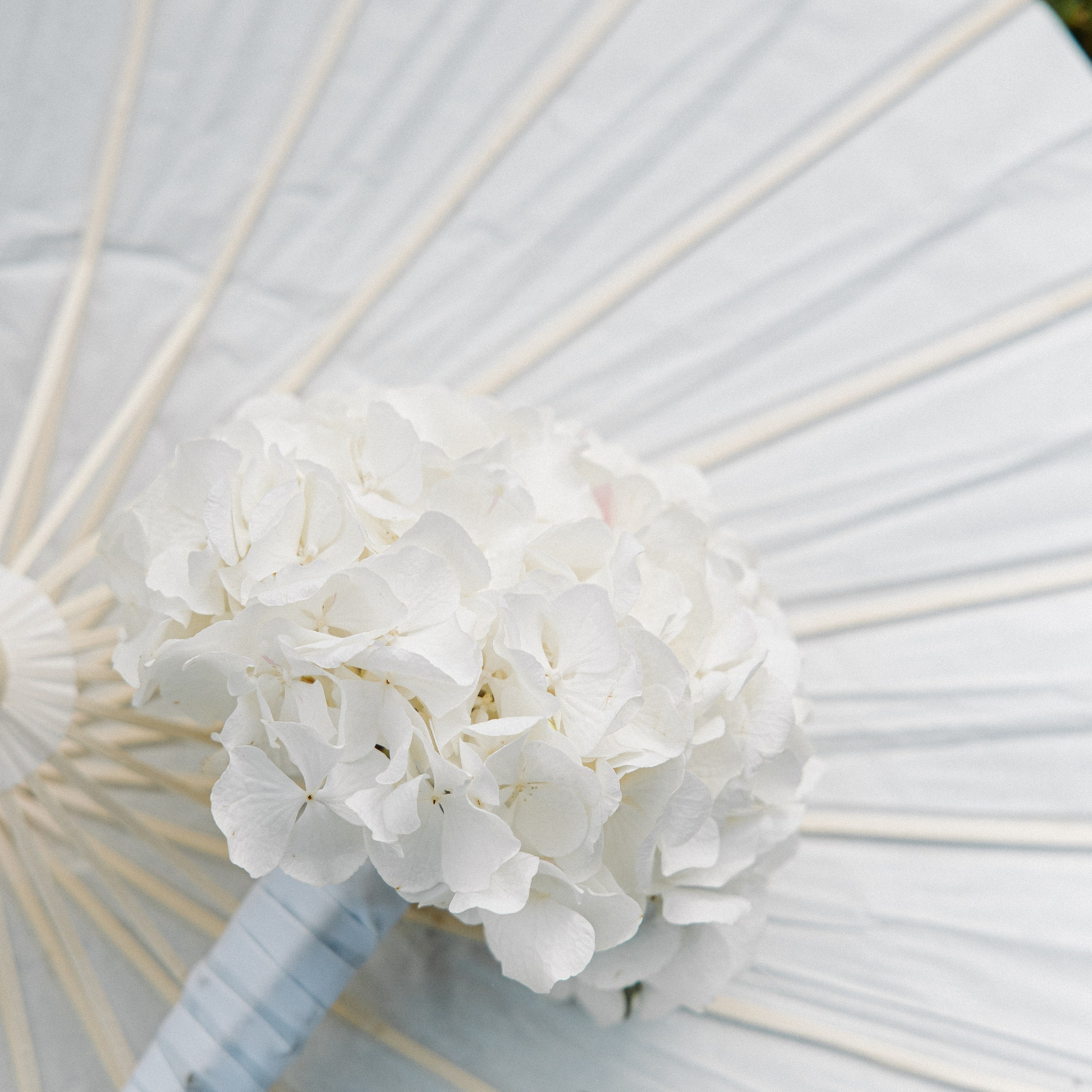 Hochzeitsfotografie: Preise, Pakete & Leistungen (Osnabrück / Deutschland). Fotografin in Osnabrück Mariana Slav