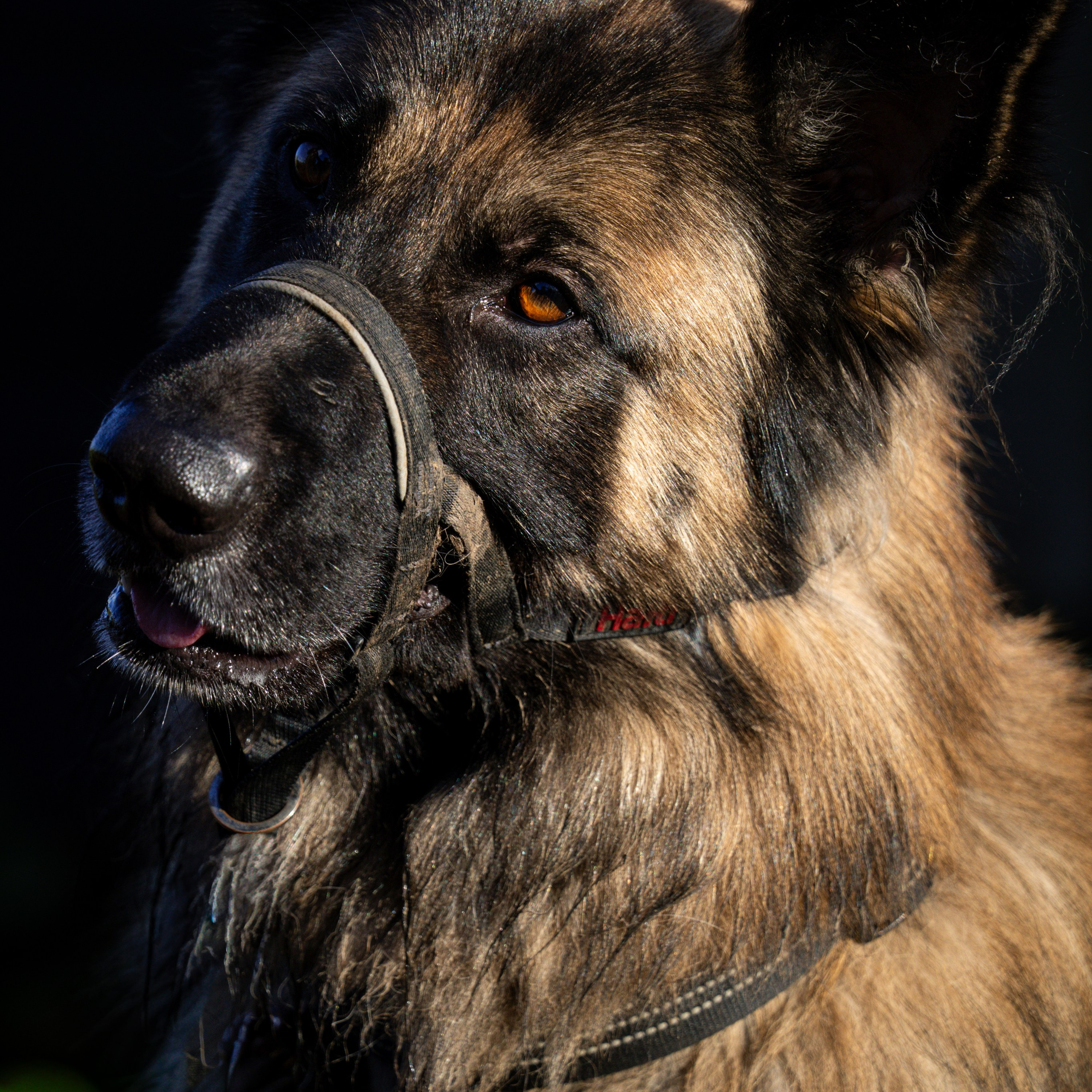 Services. Ryan Hewitt Photographer