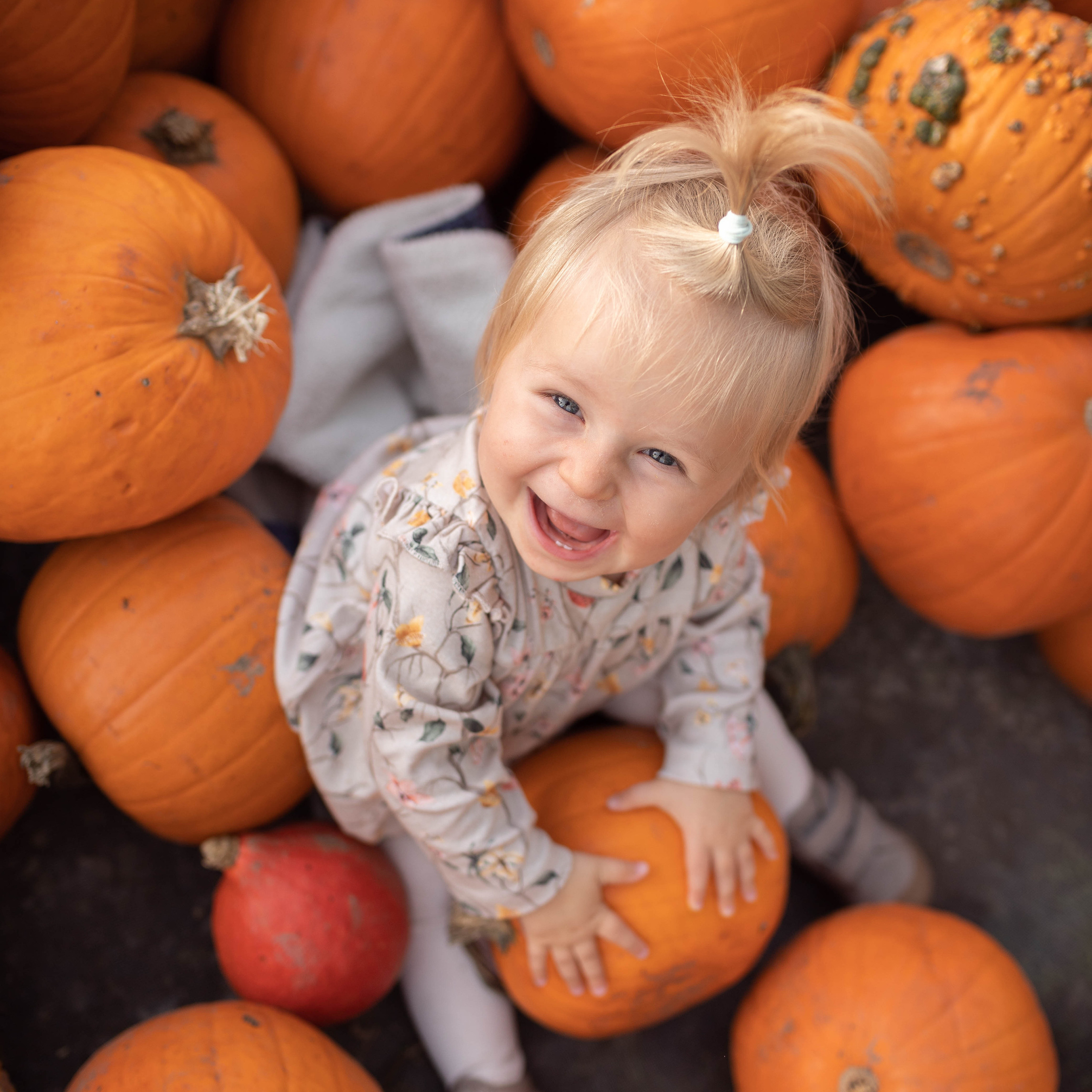 Kontakt. Familien- und Kinderfotografin Katerina Vlasenko, München
