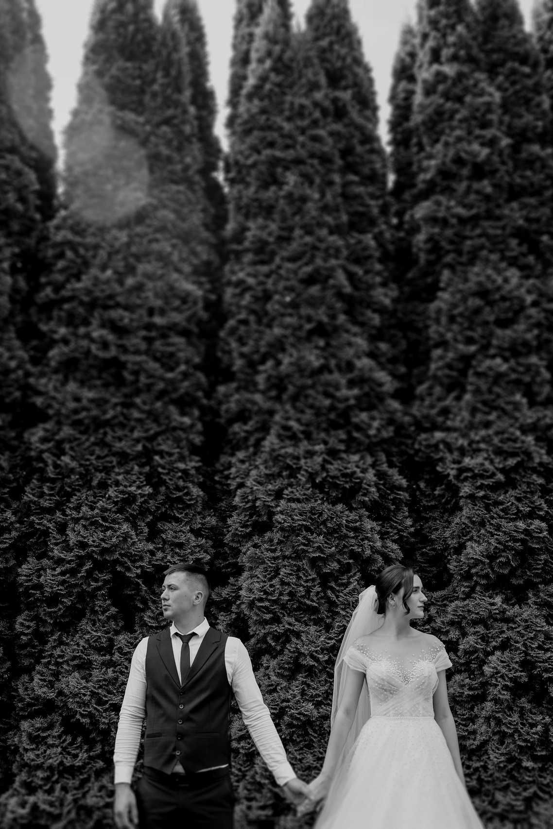 Ціни. Весільний фотограф у Львові Мирон Роксоляна