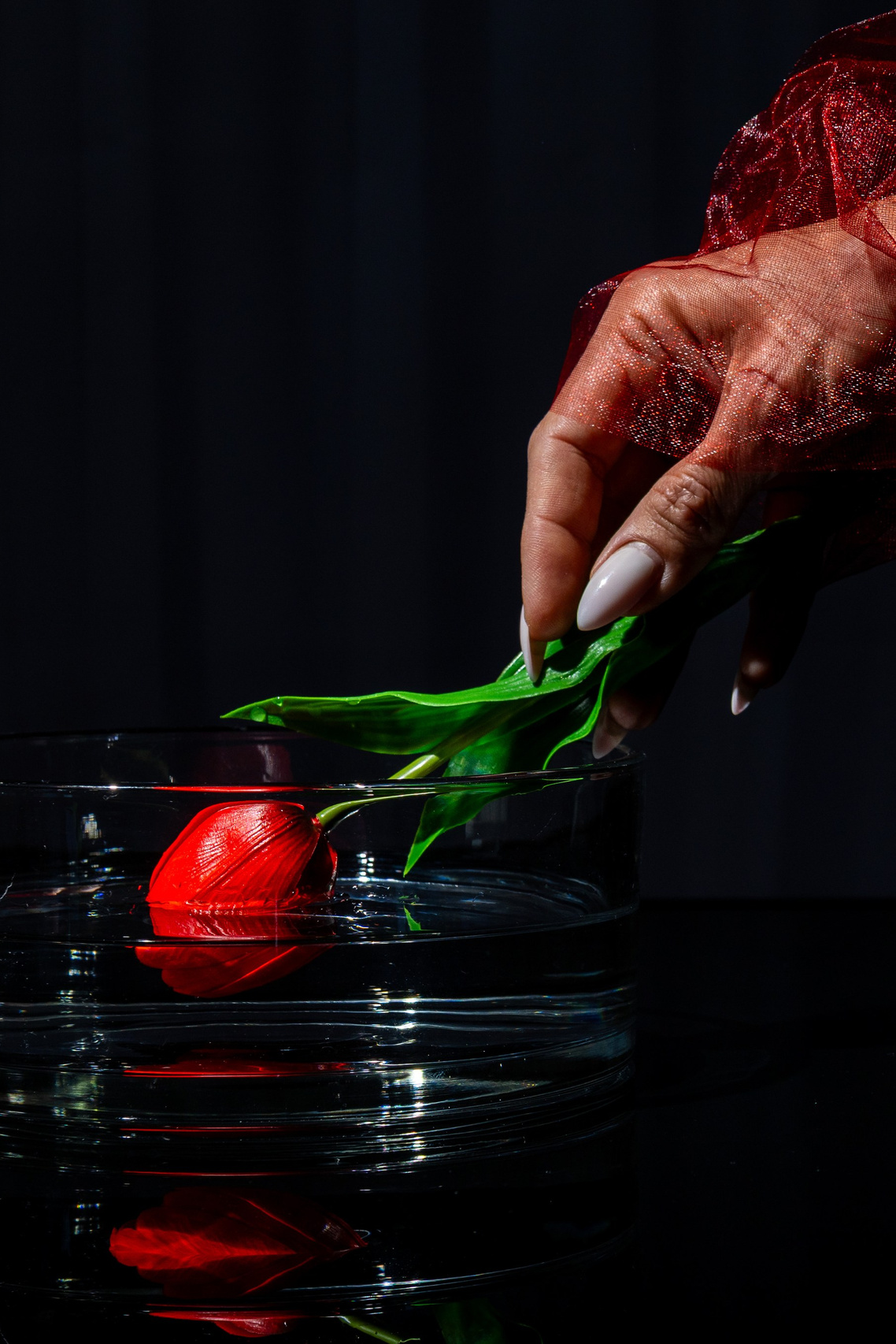 Fotograf. Lucrez cu oameni, produse și spații. Portret și fotografie creativă. Bacău, România. Lidia Savinoiu