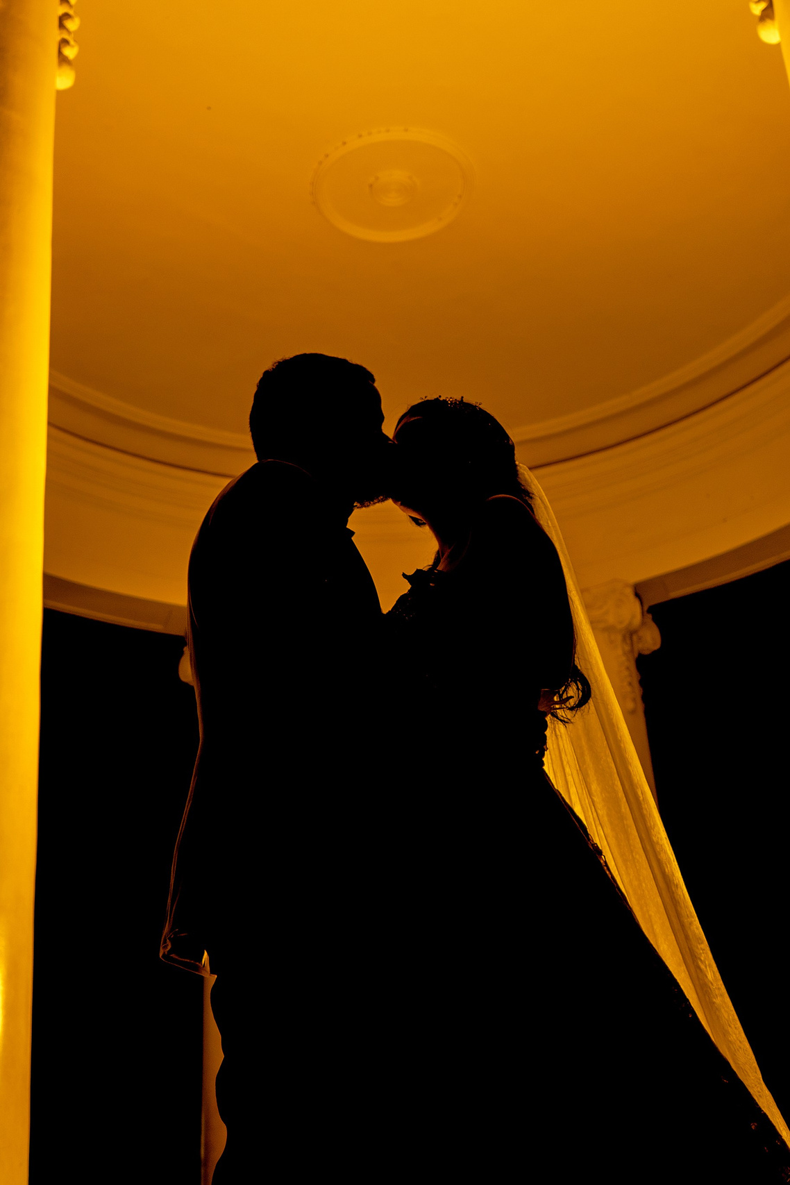 Portfolio. Social Cinema