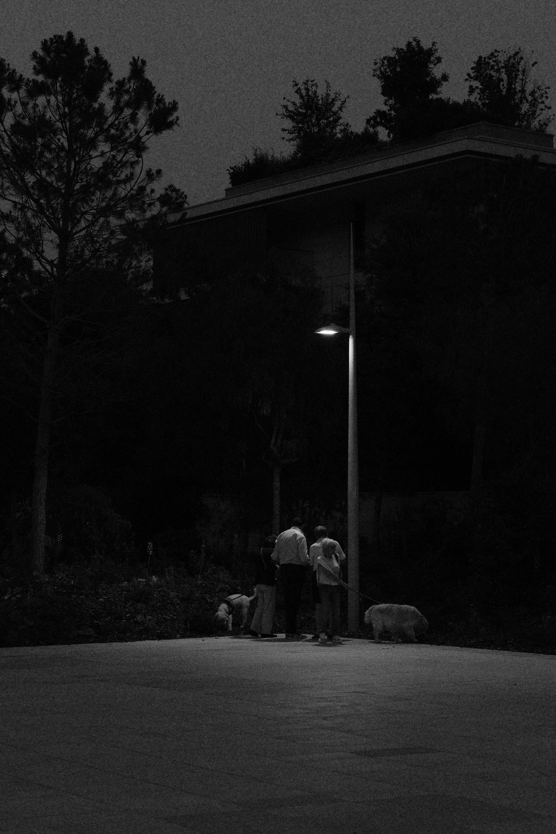 Yulia — portrait, tourist & love story photographer in Paris