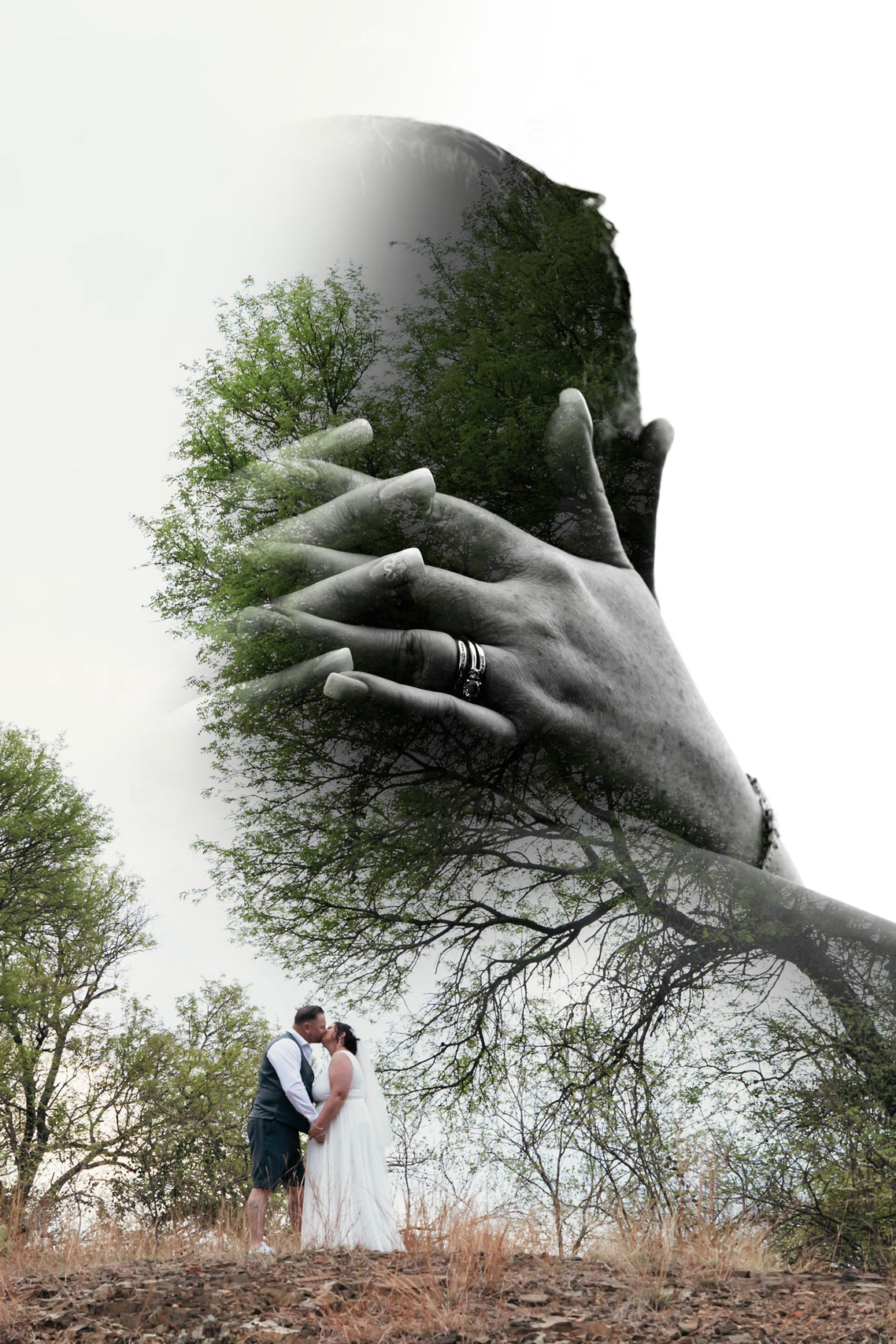 Photography & Film South Africa