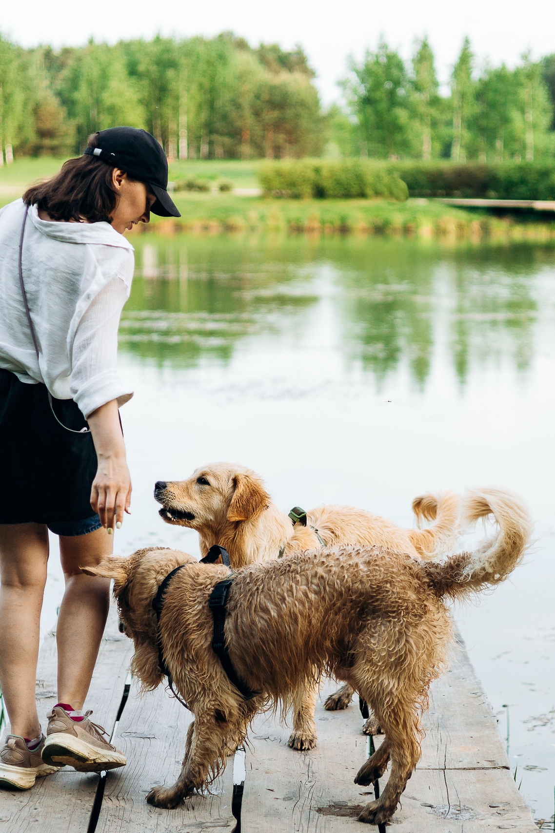 Услуги. Фотограф-анималист | Белград
