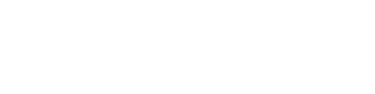 anastasiia-zaluzhna.com