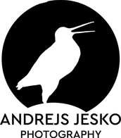 andrejsjesko.com
