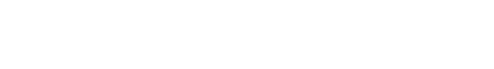 maxpawlikowsky.com