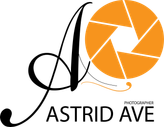 astrid-ave.wfolio.pro