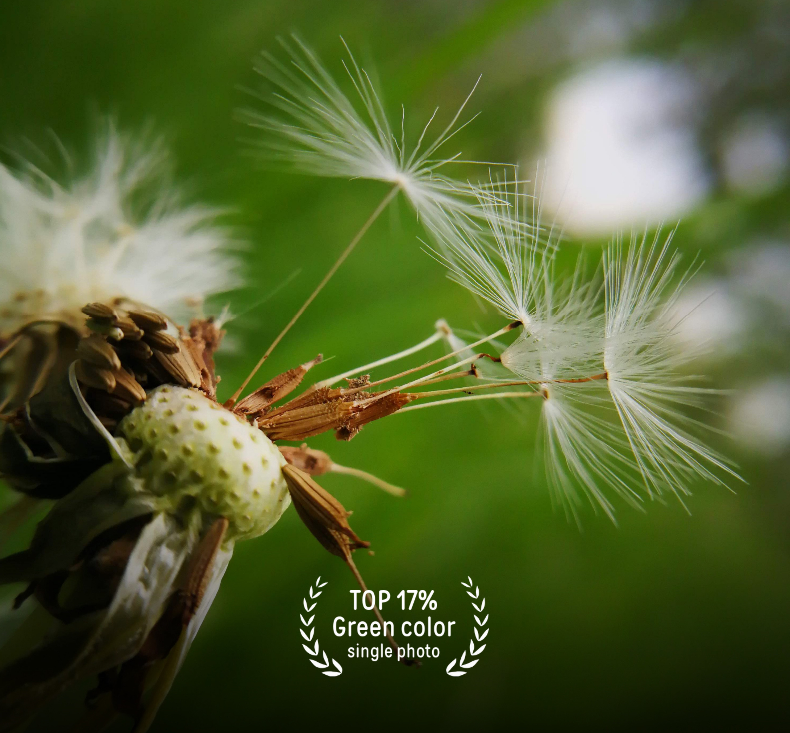 PRIZES. Nina Janeckova Photographer and Videographer in Bodensee Ravensburg