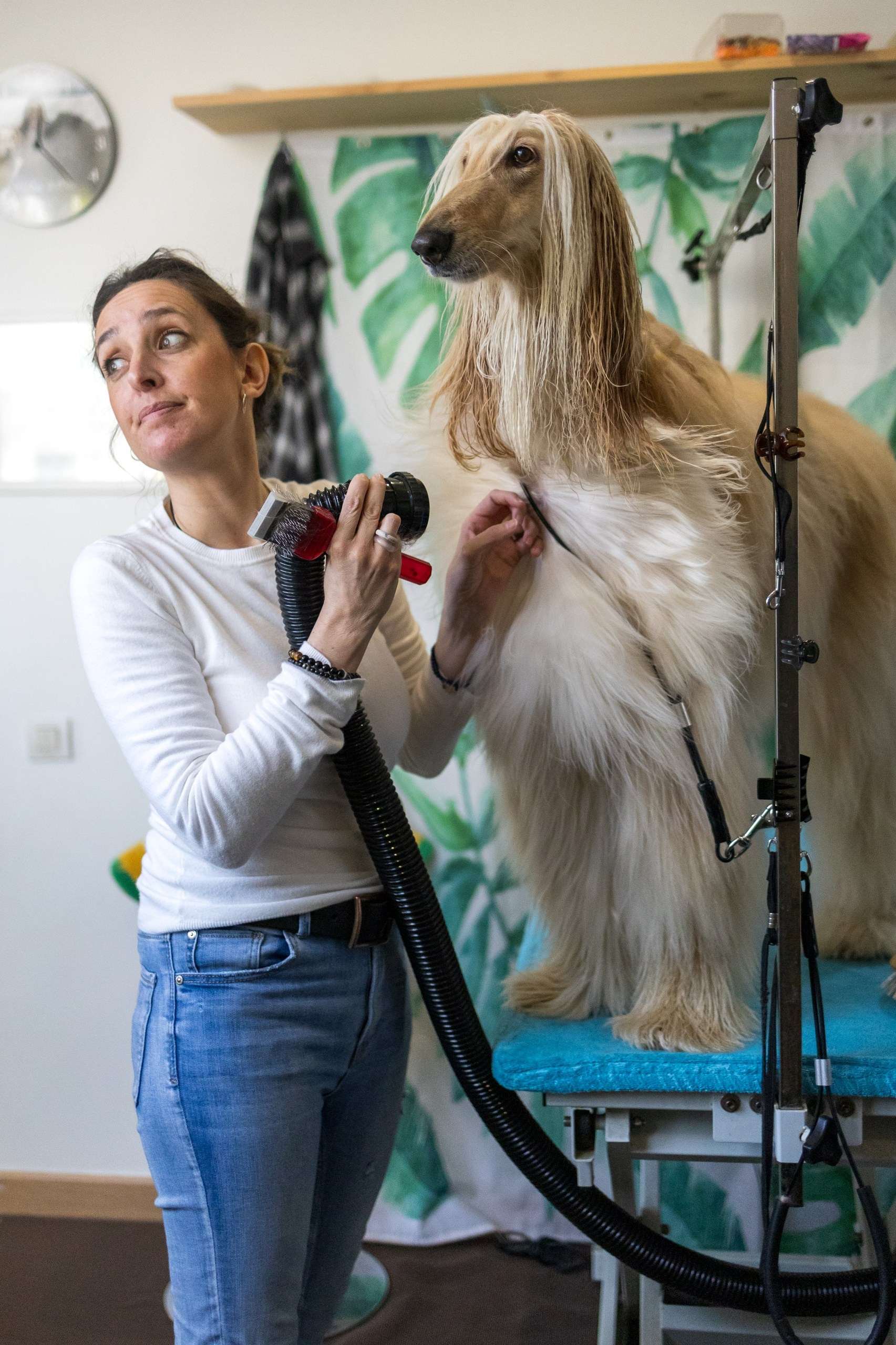 People & pet photographer based in Barcelona