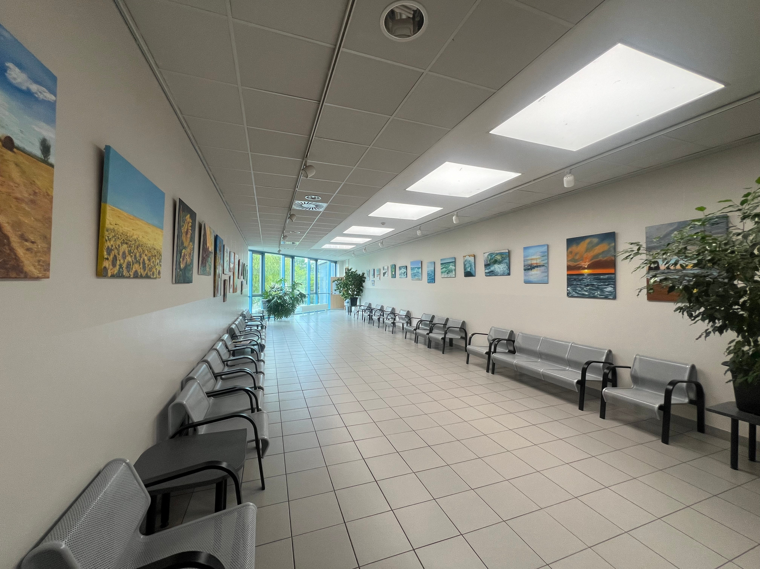 ВЫСТАВКИ / МЕДИА. GALA художник из г. Харьков в Чехии